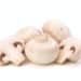 Champignon Mushroom