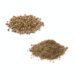 Heap Of Dried Coriander Seed And Ground Coriander On White Background